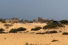 Vente de terrain