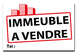 OUEST FOIRE IMMEUBLE R+1 PRIX 350MILLIONS TF APPORT LOCATIF 2 MILLIONS