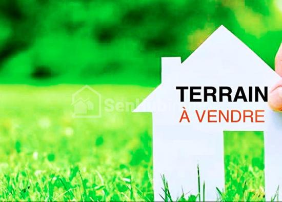 Terrain à vendre TF