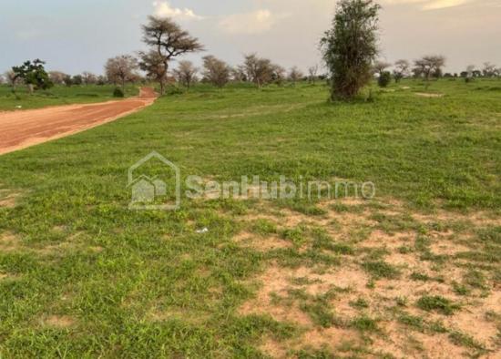 Terrain Agricole de 5507 m² à Koul