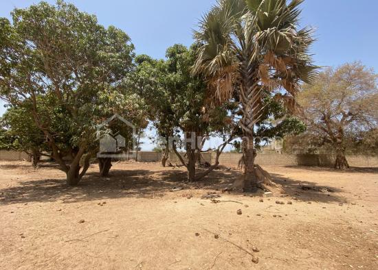 Terrain en vente à Ngaparou